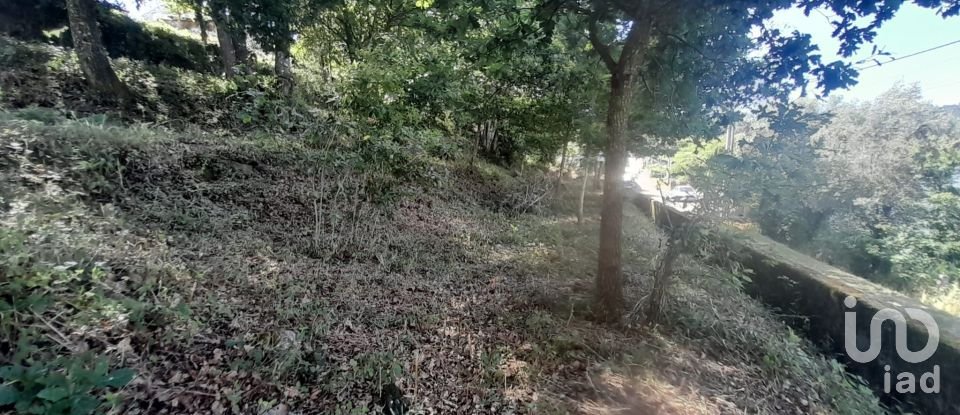 Moradia T3 em Fontoura de 3 100 m²