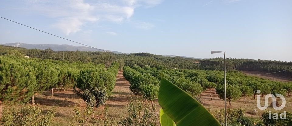 Terrain à bâtir à Cadaval e Pêro Moniz de 10 000 m²