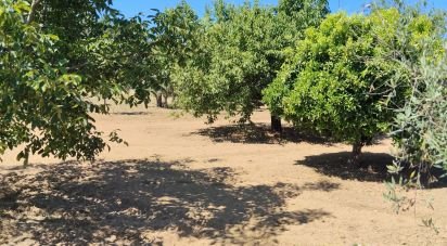 Terrain à Castelo de 1 600 m²