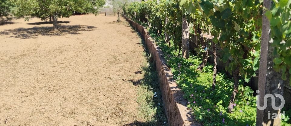 Terreno em Castelo de 1 600 m²