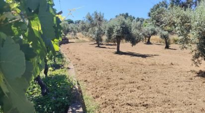 Terrain à Castelo de 1 600 m²