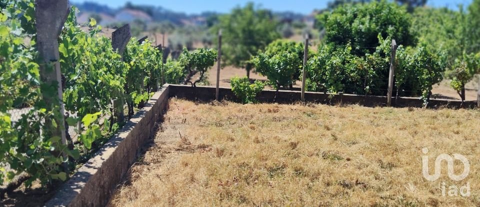 Terreno em Castelo de 1 600 m²