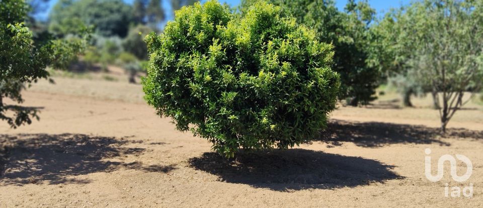 Terreno em Castelo de 1 600 m²