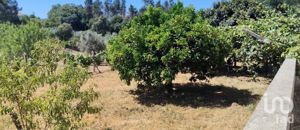 Terreno em Castelo de 1 600 m²