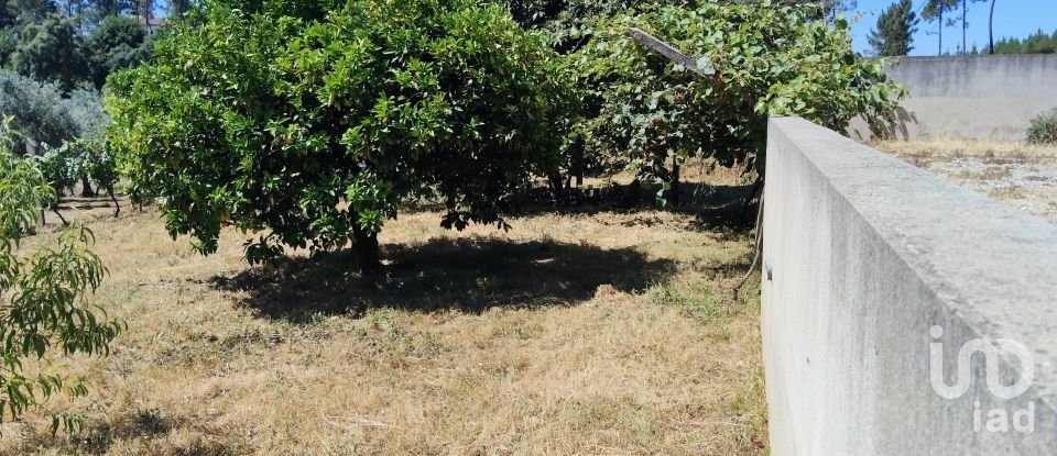 Terreno em Castelo de 1 600 m²