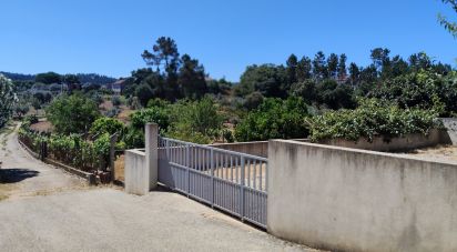 Terrain à Castelo de 1 600 m²