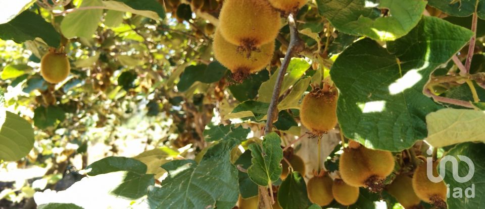 Terreno em Castelo de 1 600 m²