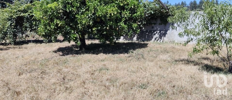 Terreno em Castelo de 1 600 m²