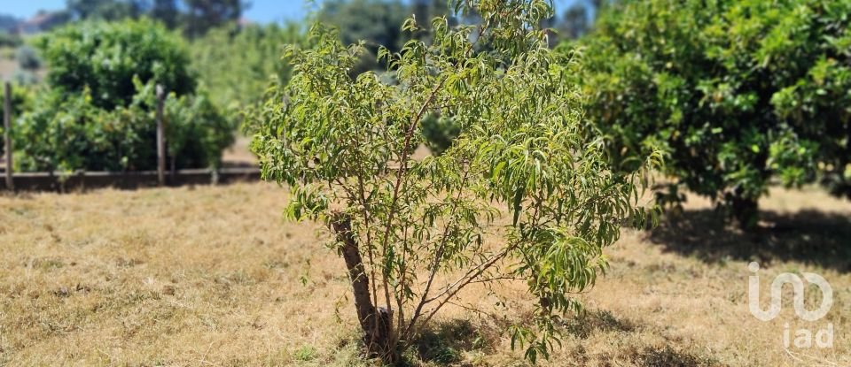 Terreno em Castelo de 1 600 m²