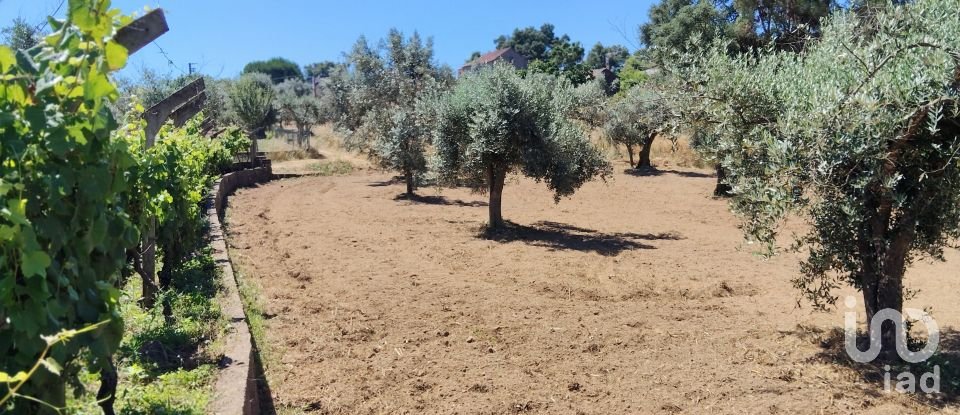 Terreno em Castelo de 1 600 m²