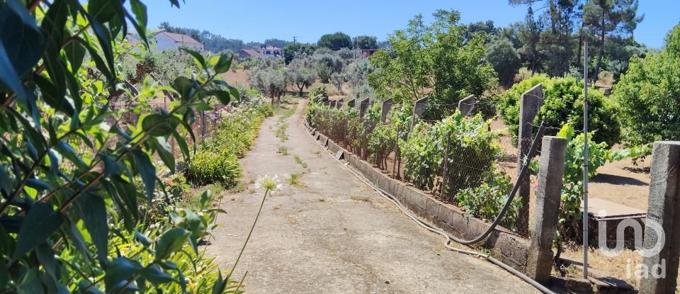 Terreno em Castelo de 1 600 m²