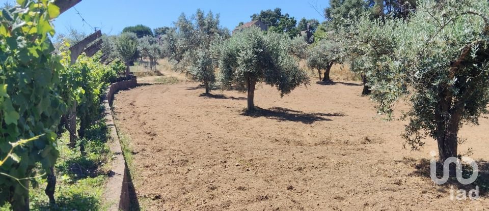 Terreno em Castelo de 1 600 m²