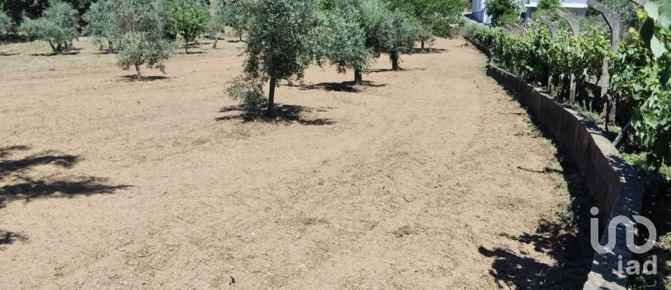 Terreno em Castelo de 1 600 m²