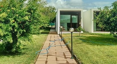 House T4 in Válega of 300 m²