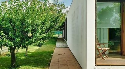 House T4 in Válega of 300 m²