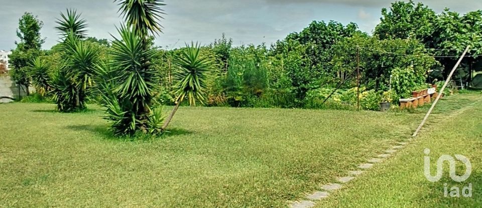 House T4 in Válega of 300 m²