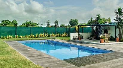 Maison T4 à Válega de 300 m²