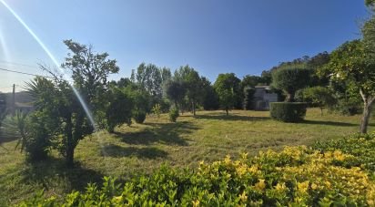 Land in Mire de Tibães of 4,530 m²