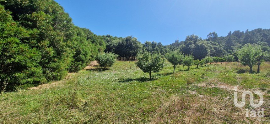 Terreno em Azueira e Sobral da Abelheira de 8 187 m²