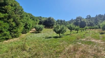 Terrain à Azueira e Sobral da Abelheira de 8 187 m²