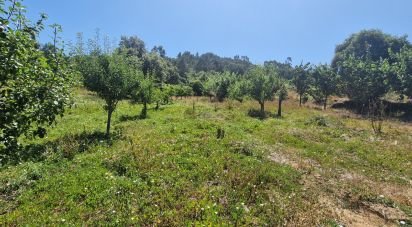 Terrain à Azueira e Sobral da Abelheira de 8 187 m²