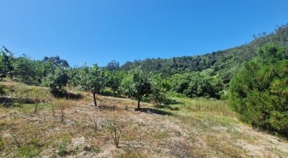 Terrain à Azueira e Sobral da Abelheira de 8 187 m²