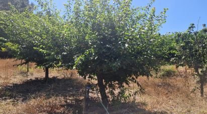 Terrain à Azueira e Sobral da Abelheira de 8 187 m²