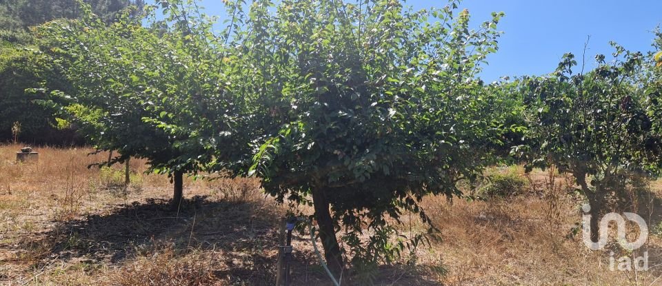 Terreno em Azueira e Sobral da Abelheira de 8 187 m²