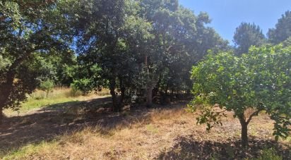Terrain à Azueira e Sobral da Abelheira de 8 187 m²