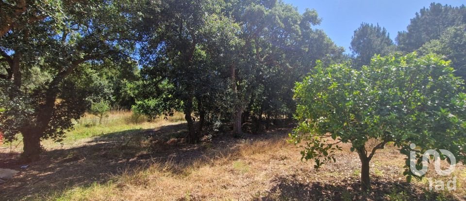 Terreno em Azueira e Sobral da Abelheira de 8 187 m²