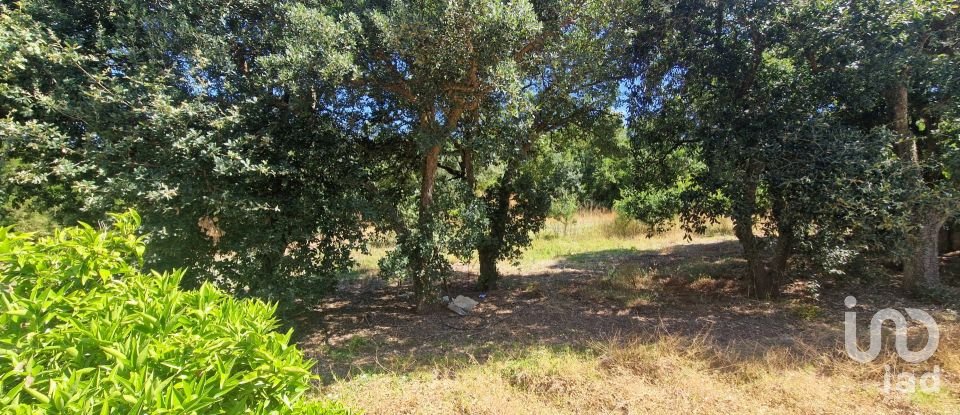 Terreno em Azueira e Sobral da Abelheira de 8 187 m²