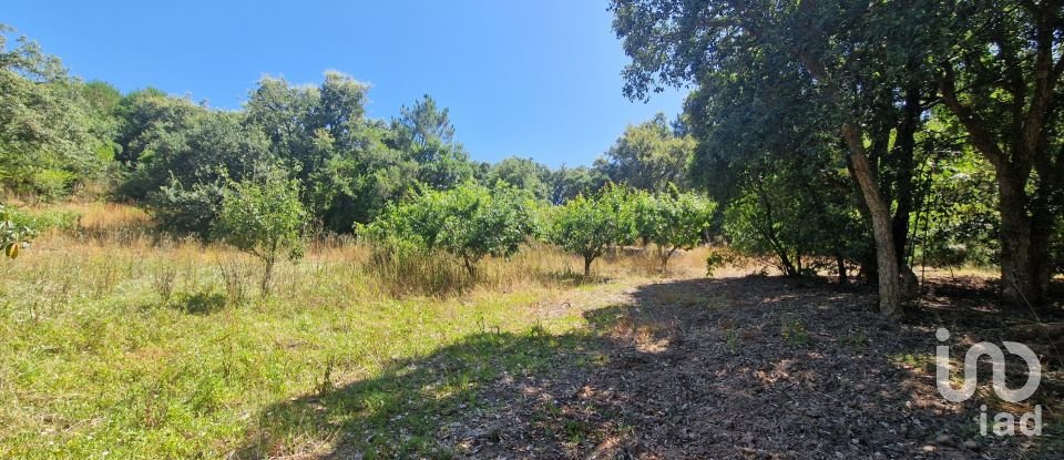 Terreno em Azueira e Sobral da Abelheira de 8 187 m²