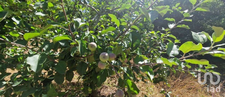 Terreno em Azueira e Sobral da Abelheira de 8 187 m²