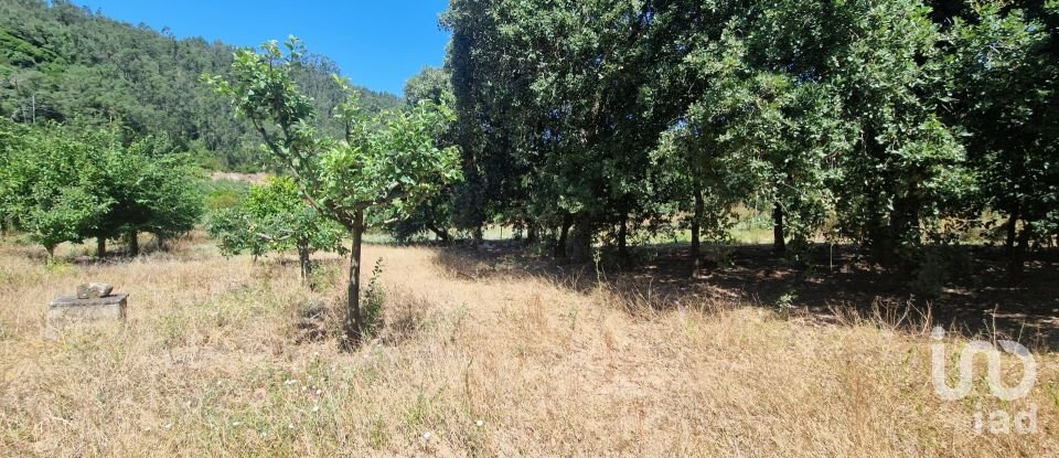 Terreno em Azueira e Sobral da Abelheira de 8 187 m²