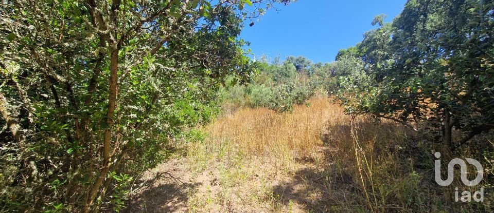 Terreno em Azueira e Sobral da Abelheira de 8 187 m²