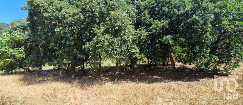 Terreno em Azueira e Sobral da Abelheira de 8 187 m²