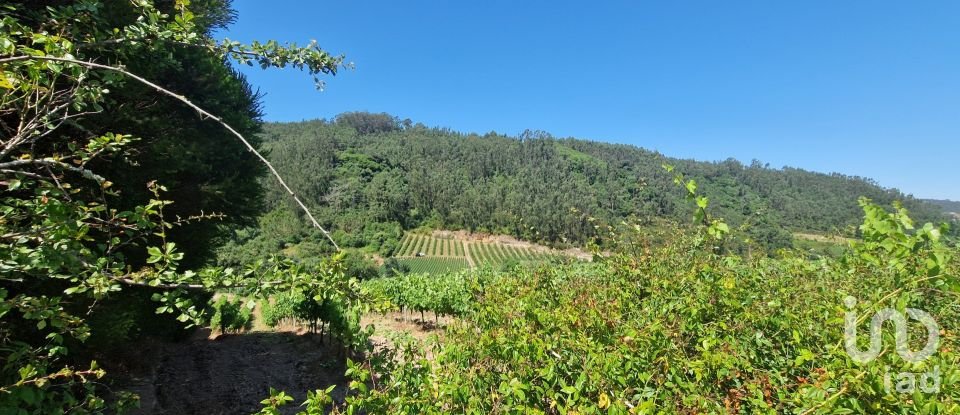 Terreno em Azueira e Sobral da Abelheira de 8 187 m²