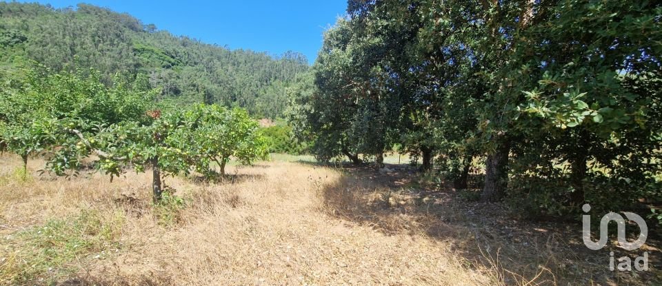 Terreno em Azueira e Sobral da Abelheira de 8 187 m²