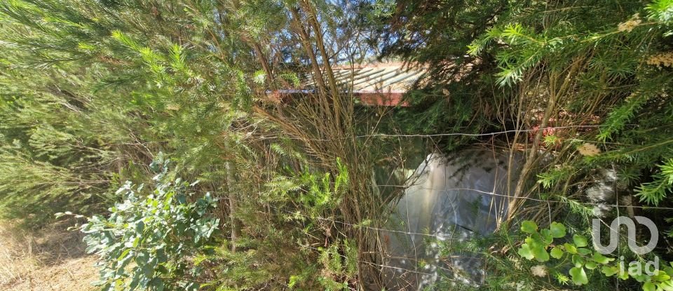 Terreno em Azueira e Sobral da Abelheira de 8 187 m²