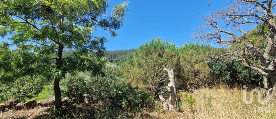 Terreno em Azueira e Sobral da Abelheira de 8 187 m²