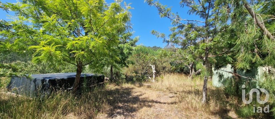 Terreno em Azueira e Sobral da Abelheira de 8 187 m²