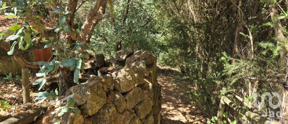 Terreno em Azueira e Sobral da Abelheira de 8 187 m²