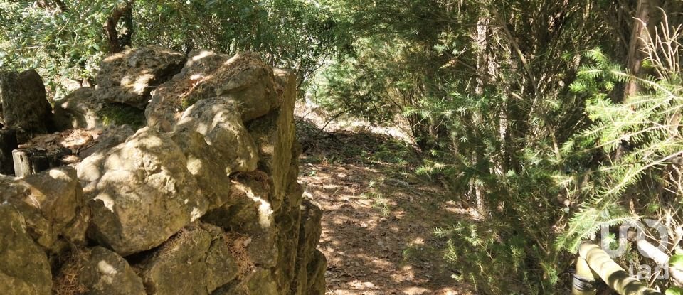 Terreno em Azueira e Sobral da Abelheira de 8 187 m²