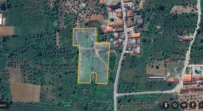 Ferme T0 à Chão de Couce de 72 m²