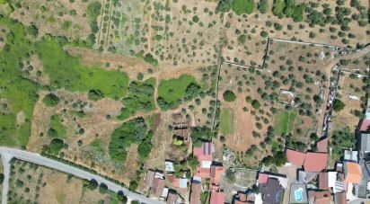 Ferme T0 à Chão de Couce de 72 m²