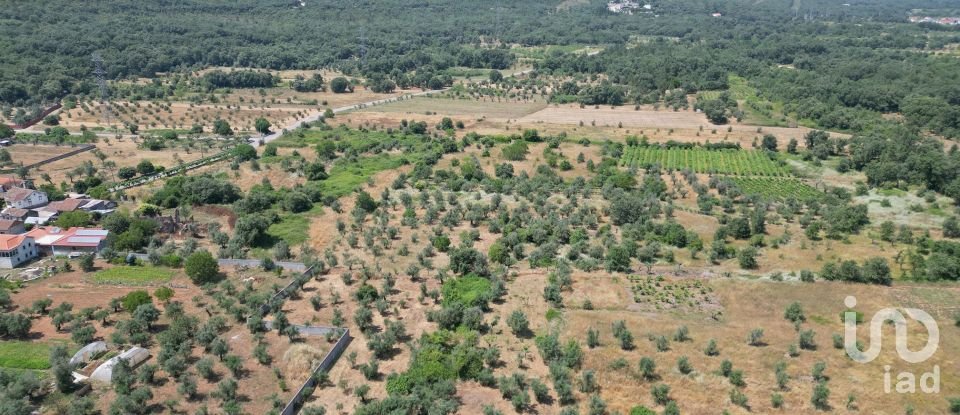 Farm T0 in Chão de Couce of 72 m²