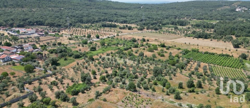 Farm T0 in Chão de Couce of 72 m²