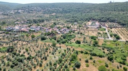 Ferme T0 à Chão de Couce de 72 m²