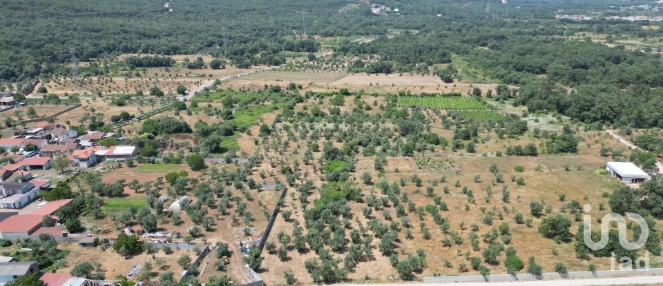 Farm T0 in Chão de Couce of 72 m²