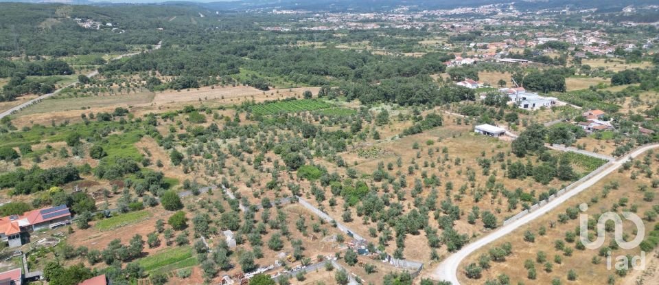 Farm T0 in Chão de Couce of 72 m²